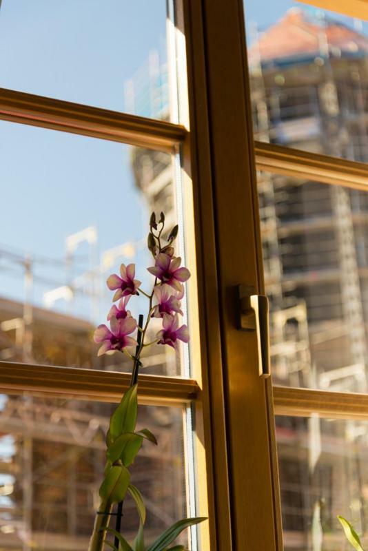 Apartement 1 Grosse Bruedergasse Bautzen Ngoại thất bức ảnh